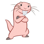Mole rats are cool