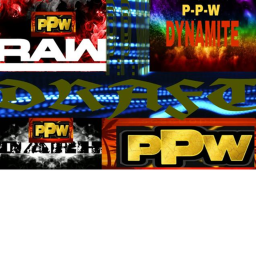 P.P.W Draft