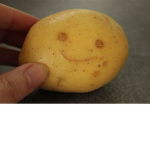 THE POTATOE COLT