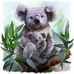 WE SAVE KOALAS!