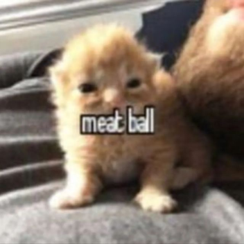 ⌗
