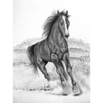 .Flying HorseShoes Stables.