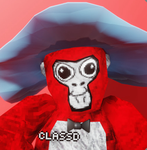 ClassD’s Gorillas