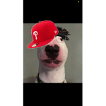The-Gangstas-