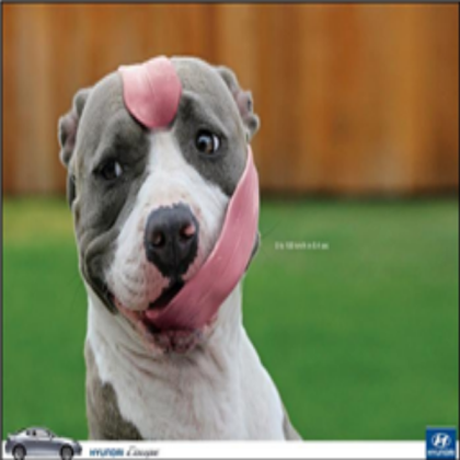 funny Roblox decal