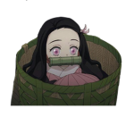 fans de ka su mi chan