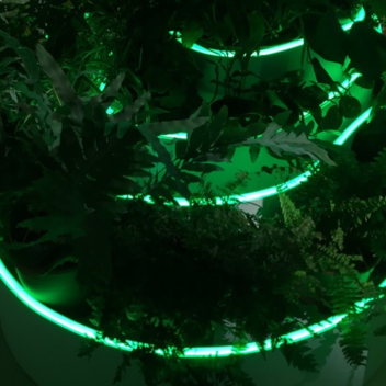 💚