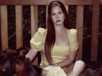 LDR*