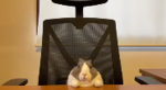 Kermi's Comp Lobby