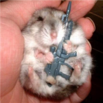 Hamster Life Army
