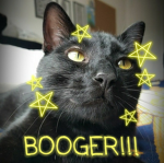 Boogers Fan Group!!