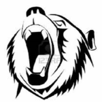 Bear's United