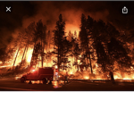 Wildfire Blitz