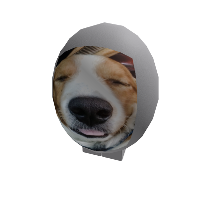 Cola Beta