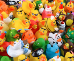 Safari Store