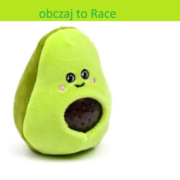 Obczaj to race