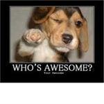 Roblox is Awesome!! Yah! :D