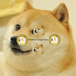 LivinDoge’s Community