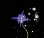 Aeonspire Nexus