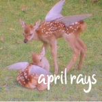 April Rays