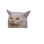 Meow meow we cool!