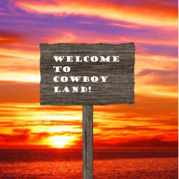 Cowboy land rp