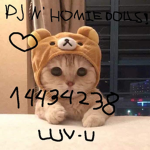 pj n friends