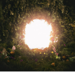 Portals..