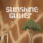 Sunshine gutter