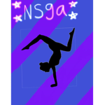 Night sky gymnastics association