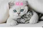 #Unicorn+Cats=GOALS
