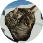 Cat Secret
