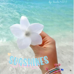 suqs sunnies!
