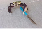 The Crazy Crabs