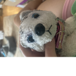Magic Puppies fan and friends group