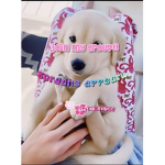 - Jordan’s appearl -