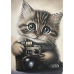 vava chaton