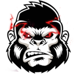 Evolve Studios