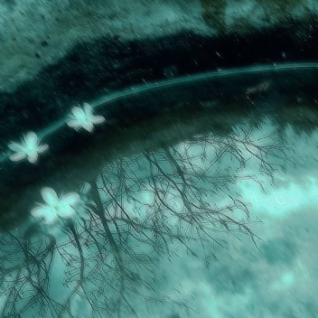 ɴᴏᴡ ᴘʟᴀʏɪɴɢ: 𝚠𝚒𝚜𝚙 - 𝚕𝚞𝚗𝚊