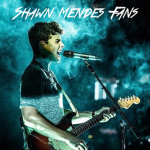 Shawn Mendes Fans