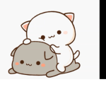Its funny fan