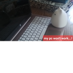 - Secret Eggcat Group -