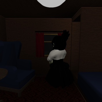Aboard the Train