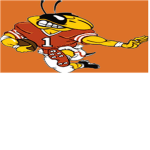 Westside Yellow Jackets Football League