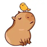 COMMUNITY CAPYBARA