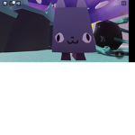 Pet sim c group