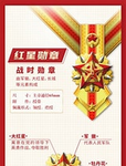 NS 红星勋章