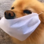 じロՖ ㄗタղタՖ のモじ ℜロ#じロՖ :>