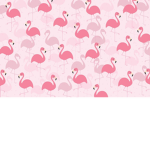 flamingos of the world