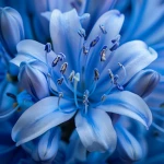 The Blue Blossom Group Thumbnail